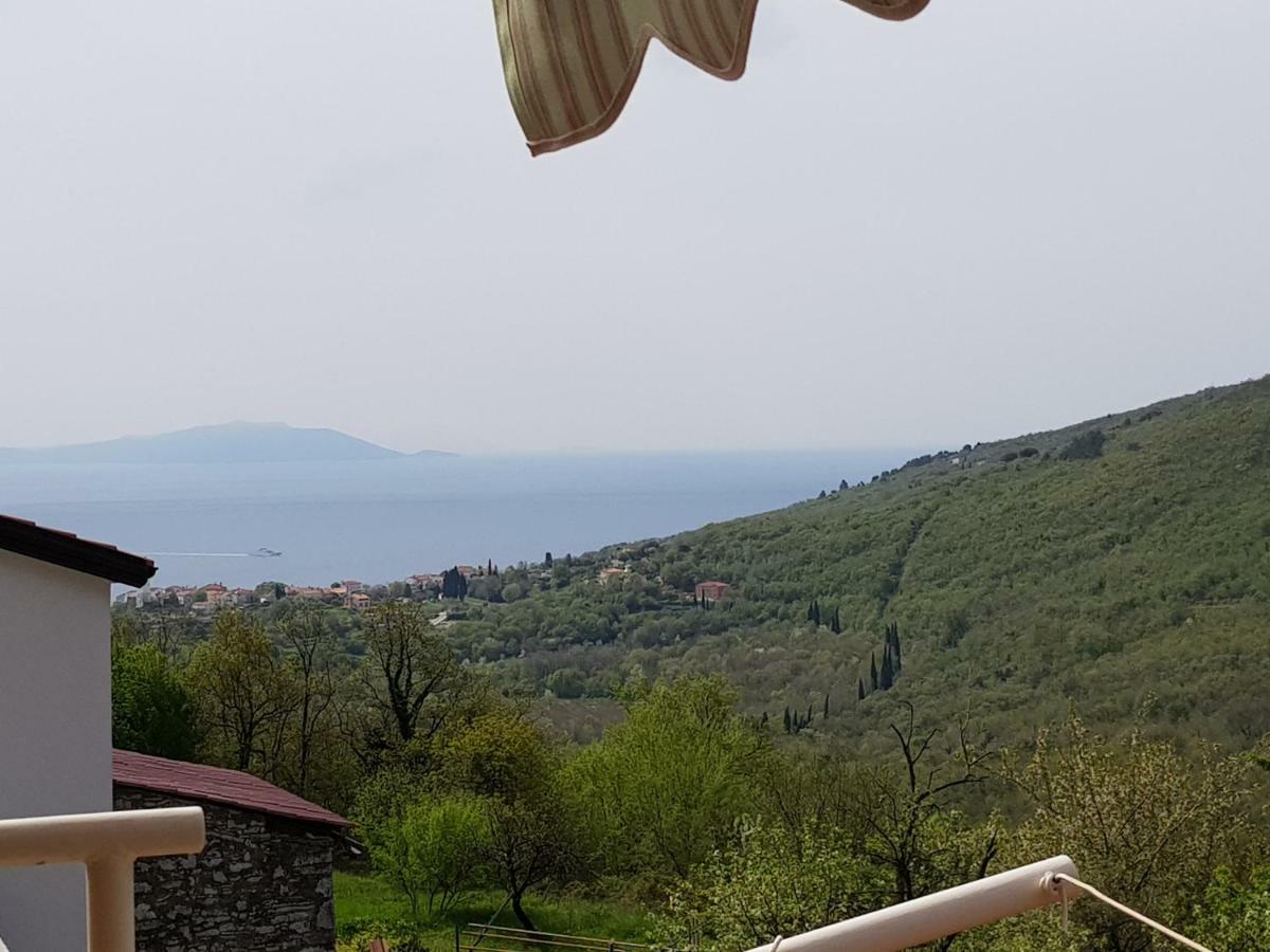 Diana Apartman Брсеч Экстерьер фото